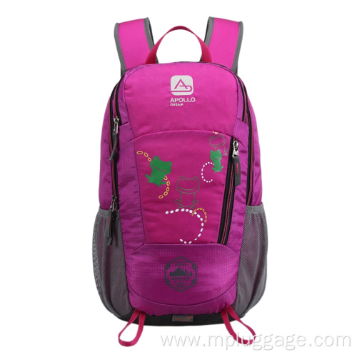 Leisure Outdoor Sports Mountaineering Backpack Customization